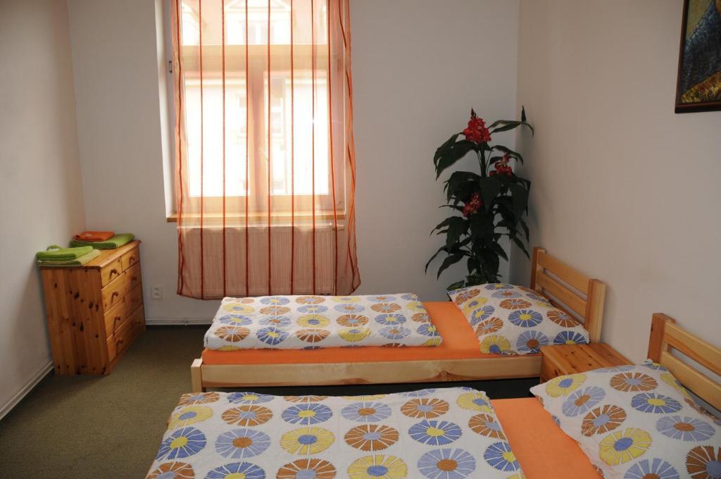 Penzion Pupendo Hradec Králové Exterior foto
