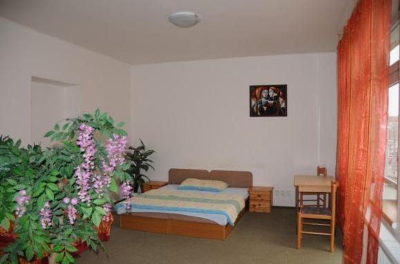 Penzion Pupendo Hradec Králové Exterior foto